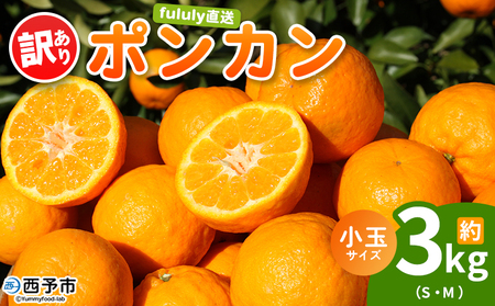 ＜fululy直送 ポンカン 訳あり 約3kg 小玉サイズ（S～M）＞ ワケアリ サイズ混合 小玉 果物 フルーツ 蜜柑 ぽんかん 柑橘 家庭用 合同会社fululy 直送 愛媛県 西予市【常温】『2026年1月下旬～2月下旬迄に順次出荷』 AGF0007