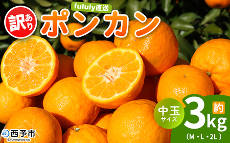 ＜fululy直送 ポンカン 訳あり 約3kg 中玉サイズ（M～2L）＞ ワケアリ サイズ混合 中玉 果物 フルーツ 蜜柑 ぽんかん 柑橘 家庭用 合同会社fululy 直送 愛媛県 西予市【常温】『2026年1月下旬～2月下旬迄に順次出荷』 AGF0008