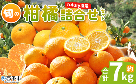 ＜fululy直送 柑橘詰合せセット 約7kg＞ 詰め合わせ 旬 食べ比べ おまかせ 果物 フルーツ 蜜柑 ポンカン 伊予柑 せとか 甘平 八朔 はるか 文旦 柑橘 贈答用 合同会社fululy 直送 愛媛県 西予市【常温】『2026年2月上旬～3月下旬迄に順次出荷』 AGF0014