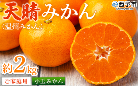 ＜愛媛県明浜産 天晴みかん（温州みかん）約2kg 小玉サイズ＞ 家庭用 訳あり ワケアリ 果物 くだもの フルーツ ミカン 柑橘 特産品 笑丸 愛媛県 西予市【常温】『2025年11月中旬～2026年1月上旬迄に順次出荷予定』AAN0062