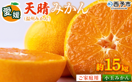 ＜愛媛県明浜産 天晴みかん（温州みかん）約15kg 小玉サイズ＞ 家庭用 訳あり ワケアリ 果物 くだもの フルーツ ミカン 柑橘 特産品 笑丸 愛媛県 西予市【常温】『2026年11月中旬～2027年1月上旬迄に順次出荷予定』AAN0066