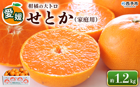 ＜せとか（家庭用）約1.2kg＞ 自宅用 訳あり ワケアリ 果物 くだもの フルーツ セトカ 1.2キロ 高級柑橘 柑橘の大トロ 柑橘 特産品 笑丸 愛媛県 西予市【常温】『2026年3月上旬～3月中旬に順次出荷予定』AAN0067
