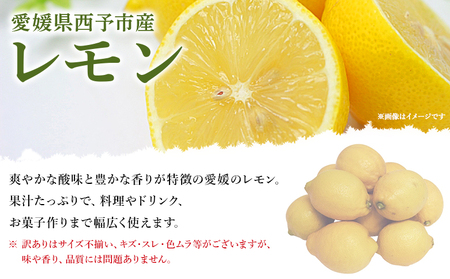 ＜愛媛県西予市産 訳あり レモン 約4kg＞ ワケアリ 家庭用 ご自宅用 4キロ れもん 檸檬 柑橘 果物 フルーツ 食べて応援 国産 不揃い 宇都宮物産【常温】『2025年12月中旬～2026年2月末迄に順次出荷予定』UUB0090
