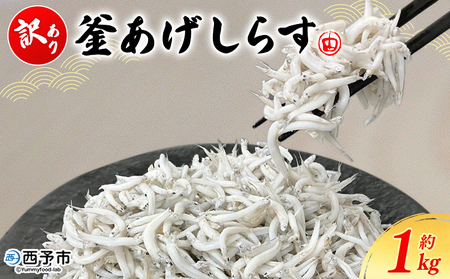 ＜訳あり 釜あげしらす 約1kg＞ 老舗網元 釜揚げ しらす シラス 海鮮 ちりめん 海産物 丼 おにぎり 具材 ご飯 おつまみ おやつ 小魚 国産 1キロ マルヨシ水産 特産品 愛媛県 西予市【冷凍】『1か月以内に順次出荷』AMS0019