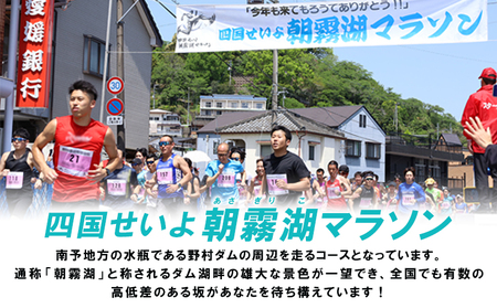 ＜四国せいよ朝霧湖マラソン＞ ロードレース ハーフマラソン ハーフ 10km 10キロ ランニング ランナー スポーツ 運動 参加 出走 体験 チケット 自然 朝霧湖 あさぎりこ マラソン まらそん マラソン大会 四国せいよ朝霧湖マラソン事務局 愛媛県 西予市 NSA0001
