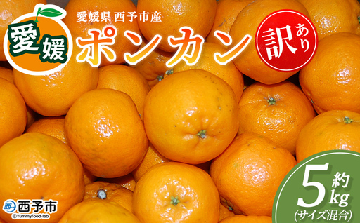 ＜訳あり ポンカン (サイズ混合) 約5kg＞蜜柑 ミカン みかん 果物 フルーツ 柑橘 ぽんかん 西宇和 果汁 ジューシー 国産 愛媛県産 西予市産 ご家庭用 自宅用 訳アリ 特産品 丸二青果 愛媛県 西予市【常温】『2026年1月～3月に順次出荷予定』MMY0010