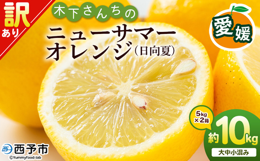 ＜木下さんちのニューサマーオレンジ 訳あり 約10kg（大中小サイズ混み）＞ 柑橘類 日向夏 ミカン 蜜柑 果物 くだもの フルーツ 国産 特産品 木下農園 愛媛県 西予市【常温】『2026年4月上旬～5月上旬に順次出荷』MKS0008