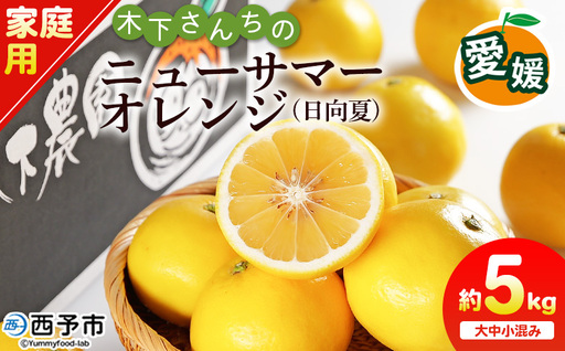 ＜木下さんちのニューサマーオレンジ 家庭用 約5kg（大中小サイズ混み）＞ 柑橘類 日向夏 ミカン 蜜柑 果物 くだもの フルーツ 国産 特産品 木下農園 愛媛県 西予市【常温】『2026年4月上旬～5月上旬に順次出荷』MKS0009