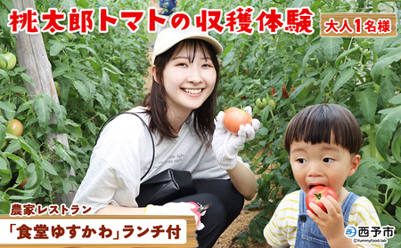 ＜桃太郎トマトの収穫体験（食堂ゆすかわのランチ付き）＞トマト収穫 体験 収穫 利用券 チケット 1名 1人 ランチ付き 桃太郎トマト トマト 持ち帰り 特産品 遊子川ザ・リコピンズ 愛媛県 西予市『1か月以内にチケット発送予定』SYR0008