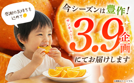 <愛媛県西予市産 甘平 家庭用 豊作 サンキューパック 約3.9kg> 訳あり ワケアリ かんぺい カンペイ 大粒果肉 甘み 柑橘 果物 フルーツ くだもの 国産 愛媛県産 サイズ不揃い 傷あり 食べて応援 宇都宮物産【常温】『2026年2月上旬~3月中旬迄に順次出荷』 UUB0092