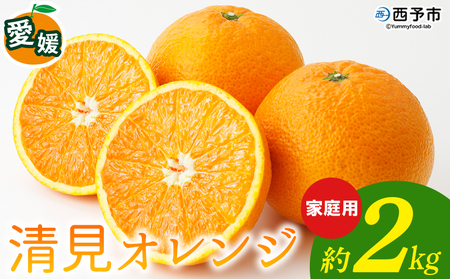 ＜清見オレンジ 家庭用 約2kg＞ 柑橘 みかん ミカン 蜜柑 果物 くだもの フルーツ きよみ キヨミ 訳あり ご自宅用 国産 愛媛産 特産品 おれんじはーと 食べて応援 西宇和 愛媛県 西予市【常温】『2026年3月上旬～3月下旬に順次出荷予定』 MOH0015