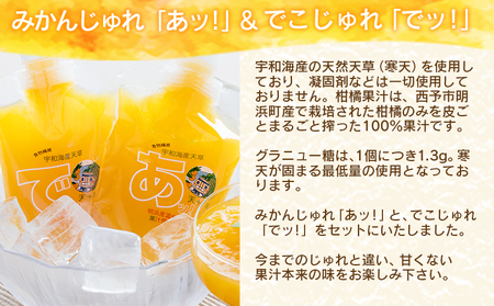 ＜むてじゅれセット（みかんジュース「ムテンカ」720ml×2本 じゅれ 2種×2個）MJ-2＞温州みかん ミカン 飲むゼリー あけはまシーサイドサンパーク 贈答用 愛媛県西予市【常温】『最短10営業日以内に順次発送予定』 AAS0003