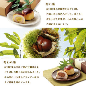 道の駅きはない屋「想い・想われ」栗菓子セット(12個入) SSF0003