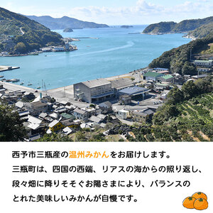 ＜JAにしうわ 温州みかん 約10kg＞ 果物 フルーツ くだもの 温州ミカン 蜜柑 柑橘類 食べて応援 特産品 甘い 旬 西宇和農業協同組合 愛媛県 西予市 【常温】『2025年11月中旬～12月中旬迄に順次出荷予定』ONN0002