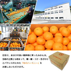 ＜JAにしうわ 温州みかん 約10kg＞ 果物 フルーツ くだもの 温州ミカン 蜜柑 柑橘類 食べて応援 特産品 甘い 旬 西宇和農業協同組合 愛媛県 西予市 【常温】『2025年11月中旬～12月中旬迄に順次出荷予定』ONN0002