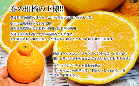 ＜カネエの西宇和産 不知火（しらぬい）3kg前後＞ 家庭用 農家直送 果物 くだもの フルーツ ミカン オレンジ 甘い おいしい サイズ混合 食べて応援 特産品 いのうえ農園 愛媛県 西予市【常温】『2026年2月下旬～3月上旬迄に順次出荷予定』MIN0001