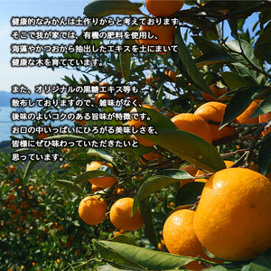 <訳あり 温州みかん 約10kg(サイズ不揃い)早生 黒田農園直送> 果物 柑橘 フルーツ 家庭用 自宅用 おすそ分け 食べて応援 特産品 西宇和 愛媛県 西予市【常温】『2025年11月中旬~12月下旬迄に順次出荷予定』MKN0002