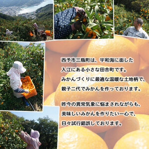 <訳あり 温州みかん 約10kg(サイズ不揃い)早生 黒田農園直送> 果物 柑橘 フルーツ 家庭用 自宅用 おすそ分け 食べて応援 特産品 西宇和 愛媛県 西予市【常温】『2025年11月中旬~12月下旬迄に順次出荷予定』MKN0002