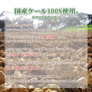 ファンケル 濃縮野菜西予市産ケール100％（冷凍） NGH0002