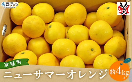 ＜愛媛県西予市産 ニューサマーオレンジ 家庭用 約4kg＞ 訳あり ワケアリ ご自宅用 果物 フルーツ ミカン 柑橘 日向夏 特産品 渡江から一歩を踏み出す会 愛媛県 西予市 【常温】『2026年4月中旬～5月上旬迄に順次出荷予定』ATI0011