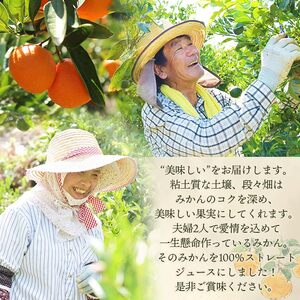 浅井果樹園直送 100％みかんジュース 3本入り MAK0003