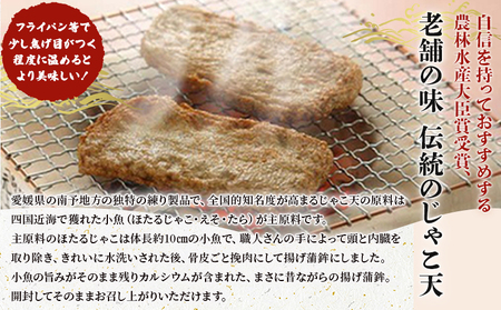 宇和海の味 おがた蒲鉾 じゃこ天詰合せ（ギフト可） UOK0002