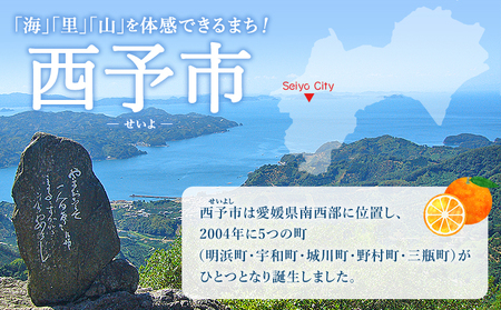 宇和海の味 おがた蒲鉾 じゃこ天詰合せ（ギフト可） UOK0002