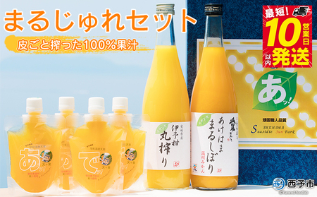 ＜まるじゅれセット MJ-1＞ 温州みかん いよかん ミカン 飲むゼリー ジュレ オレンジ ジュース デザート スイーツ あけはまシーサイドサンパーク 贈答用 愛媛県 西予市【常温】『最短10営業日以内に順次発送予定』 AAS0007