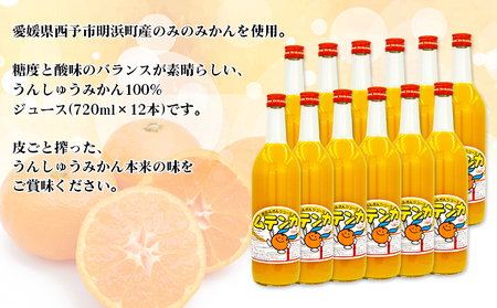 ＜明浜みかんジュース ムテンカ 720ml×12本入り E-12＞ 温州みかん ミカンジュース オレンジジュース ソフトドリンク あけはまシーサイドサンパーク 贈答用 愛媛県西予市【常温】『最短10営業日以内に順次発送予定』 AAS0008