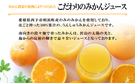 ＜あけはままるしぼり 720ml×6本 AM-6＞ 温州みかん ミカンジュース オレンジジュース ソフトドリンク あけはまシーサイドサンパーク 食べて応援 贈答用 愛媛県 西予市 【常温】『最短10営業日以内に順次発送予定』 AAS0009