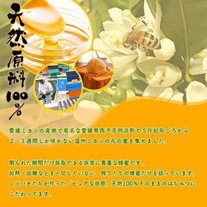 みかん蜂蜜「ジオハニー」170g×１瓶 USS0001
