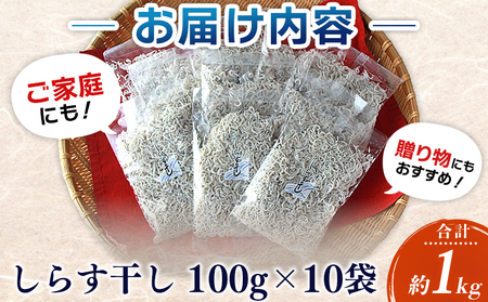 ＜漁師さん自慢のしらす干し 1kg(100g×10パック)＞ シラス 魚介類 さかな 海産物 海鮮 海の幸 小分け 国産 ご飯のお供 丼 おつまみ 晩酌 おかず おやつ 特産品 産地直送 濱田水産 愛媛県 西予市 【冷凍】『最短10営業日以内に順次発送予定』AHS0001