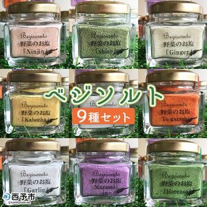 愛媛県産 野菜・柑橘を使ったベジソルト（９種セット） SEI0003
