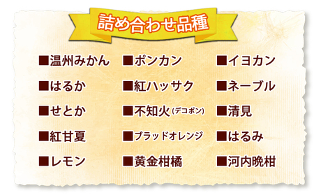 ＜愛媛県明浜産 旬の柑橘 宝石箱（3種類以上詰め合わせ）約7kg＞温州みかん ポンカン イヨカン はるか 紅ハッサク ネーブル せとか 不知火 デコポン 清見 紅甘夏 ブラッドオレンジ 宇都宮農園 西予市【常温】『2026年2月上旬～4月上旬迄に順次出荷予定』AUN0002