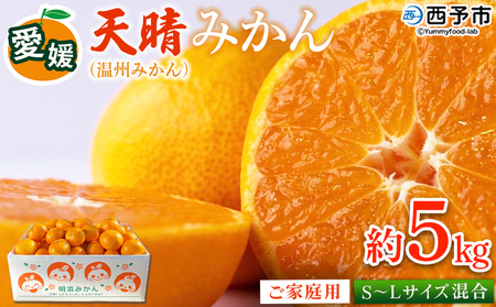 ＜愛媛県明浜産 天晴みかん（温州みかん）約5kg S～L混合＞ 家庭用 訳あり ワケアリ 果物 くだもの フルーツ ミカン 柑橘 特産品 笑丸 愛媛県 西予市【常温】『2026年11月中旬～2027年1月上旬迄に順次出荷予定』AAN0009 6,480円