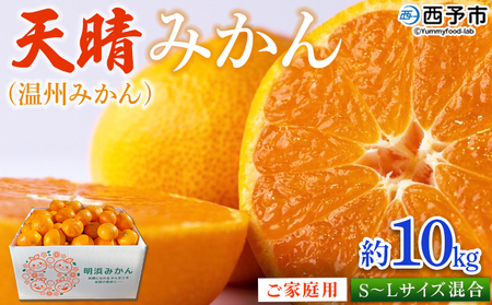 ＜愛媛県明浜産 天晴みかん（温州みかん）約10kg S～L混合＞ 家庭用 訳あり ワケアリ 果物 くだもの フルーツ ミカン 柑橘 特産品 笑丸 愛媛県 西予市【常温】『2026年11月中旬～2027年1月上旬迄に順次出荷予定』AAN0022