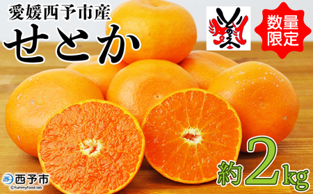 先行予約 数量限定＜愛媛西予市産 せとか 約2kg＞ 果物 くだもの フルーツ 柑橘類 ミカン みかん 甘い 特産品 糖度 家庭用 自宅用 産地直送 渡江から一歩を踏み出す会 食べて応援 愛媛県 西予市 【常温】『2026年3月上旬～3月下旬順次発送予定』ATI0019