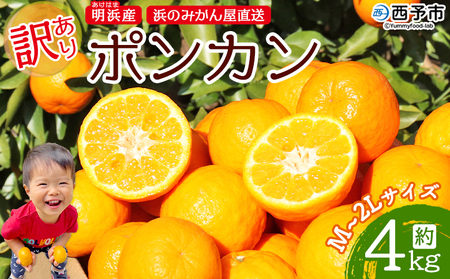 ＜訳あり ポンカン M～2L 約4kg＞ 食べやすいサイズ ぽんかん ミカン 家庭用 果物 フルーツ おいしい 甘い オレンジ 柑橘類 明浜産 あけはま ご自宅用 特産品 浜のみかん屋 愛媛県 西予市【常温】『2025年1月下旬～2月中旬迄に順次出荷』AHM0002