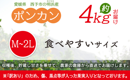 ＜訳あり ポンカン M～2L 約4kg＞ 食べやすいサイズ ぽんかん ミカン 家庭用 果物 フルーツ おいしい 甘い オレンジ 柑橘類 明浜産 あけはま ご自宅用 特産品 浜のみかん屋 愛媛県 西予市【常温】『2025年1月下旬～2月中旬迄に順次出荷』AHM0002