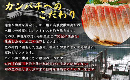 ＜「超冷薫」冷凍カンパチ ロイン 約5kg（9～16パック入り）＞ かんぱち 魚介類 さかな 新鮮 水産物 お刺身 さしみ 煮物 焼き魚 血抜き 骨なし 個包装 パーティー キャンプ お祝い 内祝い 御礼 ダイニチ 愛媛県 西予市【冷凍】『1か月以内に順次出荷』 ODN0005