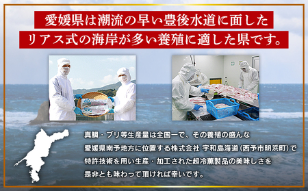 ＜「超冷薫」冷凍カンパチ ロイン 約5kg（9～16パック入り）＞ かんぱち 魚介類 さかな 新鮮 水産物 お刺身 さしみ 煮物 焼き魚 血抜き 骨なし 個包装 パーティー キャンプ お祝い 内祝い 御礼 ダイニチ 愛媛県 西予市【冷凍】『1か月以内に順次出荷』 ODN0005