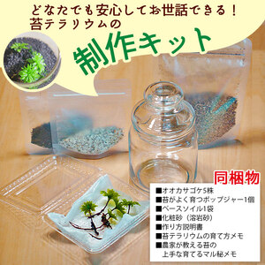 「めでる」シリーズ:苔テラリウム制作キット オオカサゴケ 5本パック NKK0005