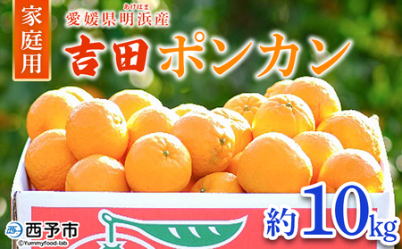 ＜吉田ポンカン 家庭用 約10kg＞ 果物 くだもの フルーツ みかん ミカン 柑橘 吉田ぽんかん よしだぽんかん ヨシダポンカン ぽんかん 訳あり ご自宅用 特産品 株式会社笑丸 愛媛県 西予市【常温】『2026年1月下旬～2月下旬迄に順次出荷予定』AAN0020