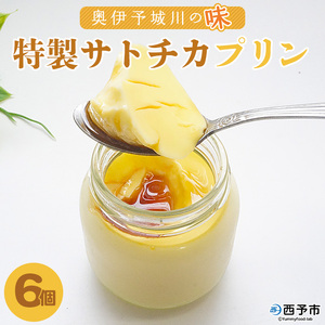奥伊予城川の味 特製サトチカプリン（6個セット） SSC0002