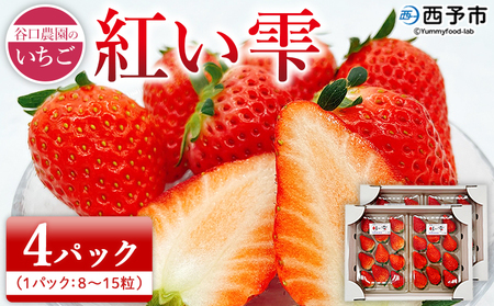 2025年発送＜谷口農園のいちご「紅い雫」約1kg（約250g×4パック）西予
