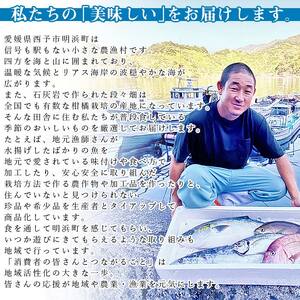 漁師直送 カマ・ハラスセット（愛媛県西予市明浜産） ANS0003