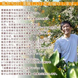 家族で楽しむ贅沢みかんジュース 3本セット【愛媛県西予市明浜産】 ANS0008