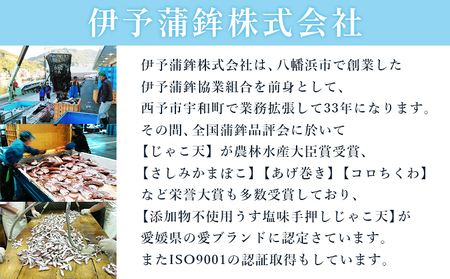 伊予蒲鉾 無添加じゃこ天と無添加かまぼこセット UIK0002