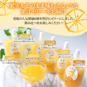 シトラス飲むゼリー12個セット UUB0028