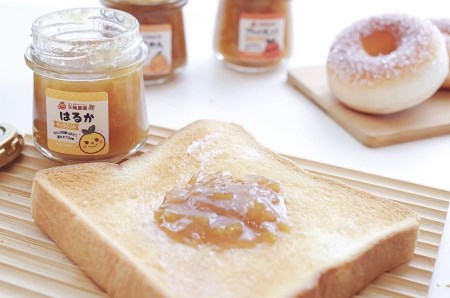 天晴みかんジュース（みかん・みかん）＆マーマレード３種セット AAN0016